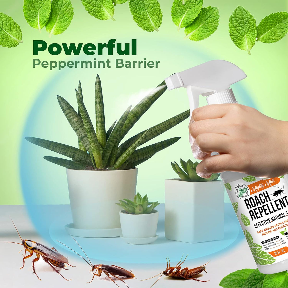 16oz Natural Peppermint Oil Cockroach Repellent Spray O65903