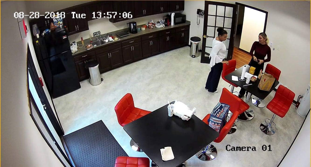 4MP PoE Security IP Camera Mini Dome Wide Angle 2.8mm Lens EXIR Audio and Alarm in and Out W486