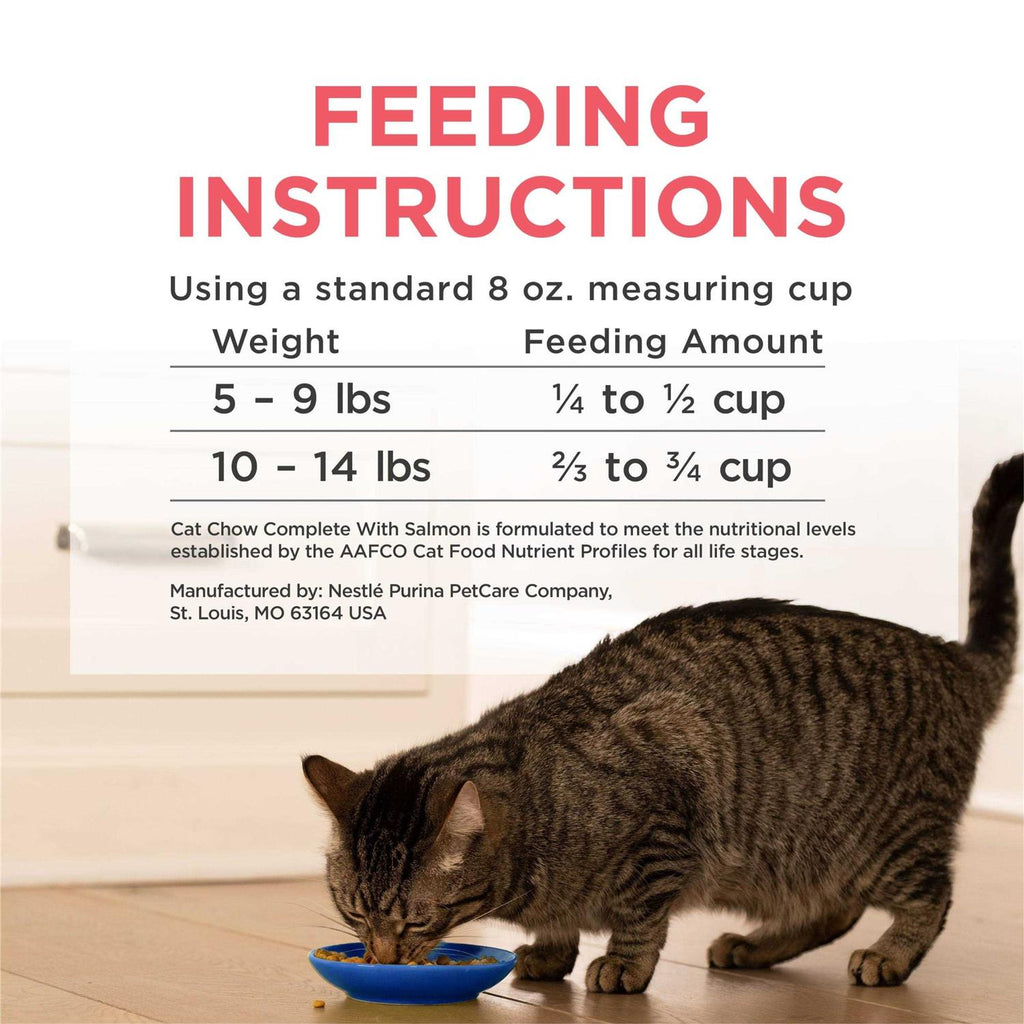 High Protein Dry Cat Food T48325