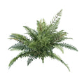 14 inch River Fern Set of 12, Green Q254