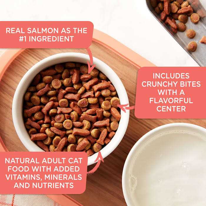 Savory Bites Dry Cat Food P69844
