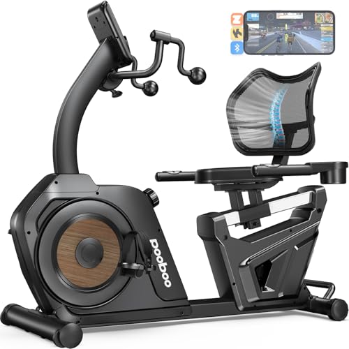 Recumbent Exercise Bike with Arm Exerciser D14865