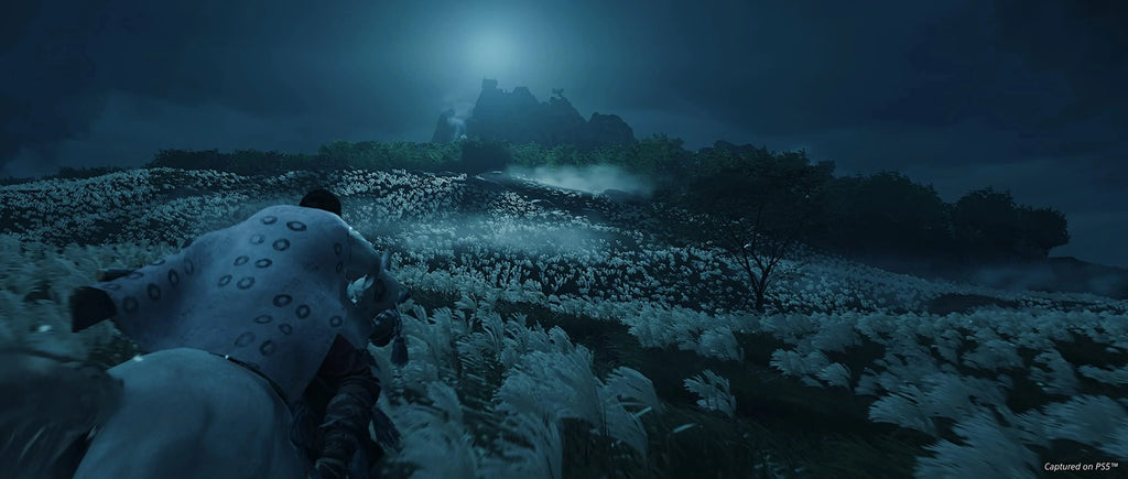 PlayStation 4 Director's Cut D2150
