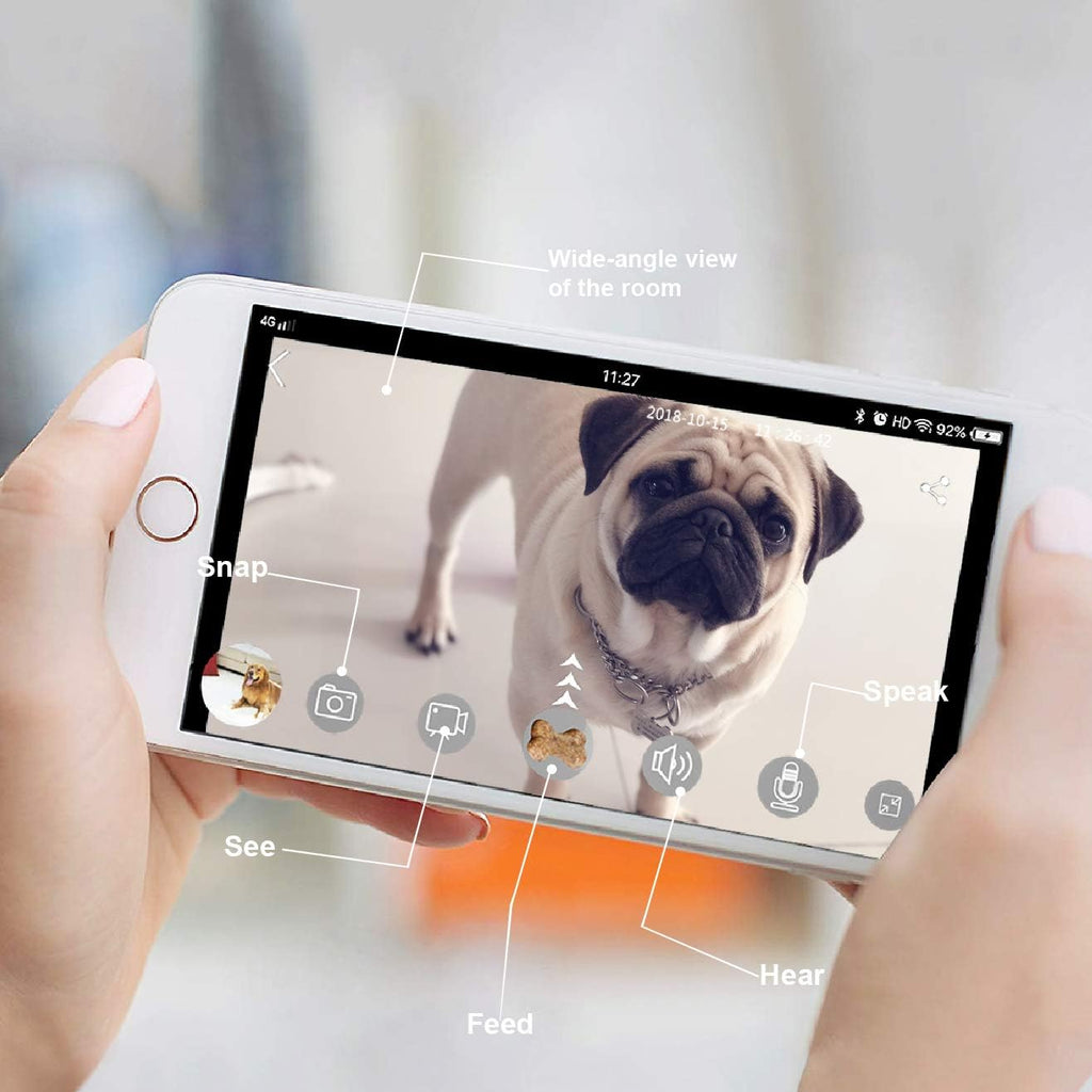 Dog Camera Treat Dispenser with Two-Way Audio and Night Vision Y332