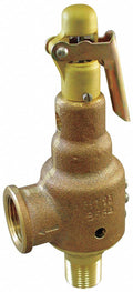 Safety Relief Valve, 1 In, 10 PSI W9280