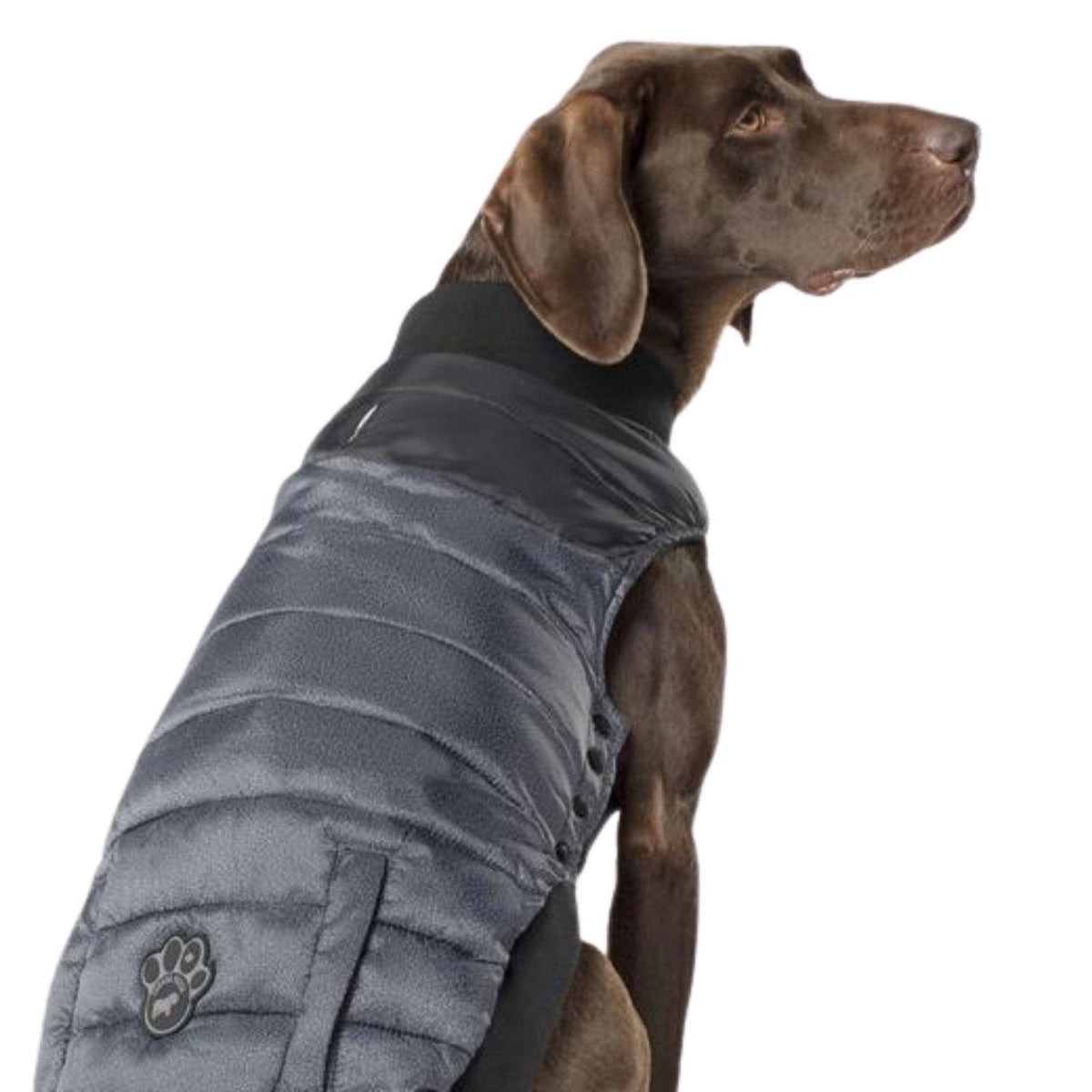 Summit Stretch Dog Vest R17435
