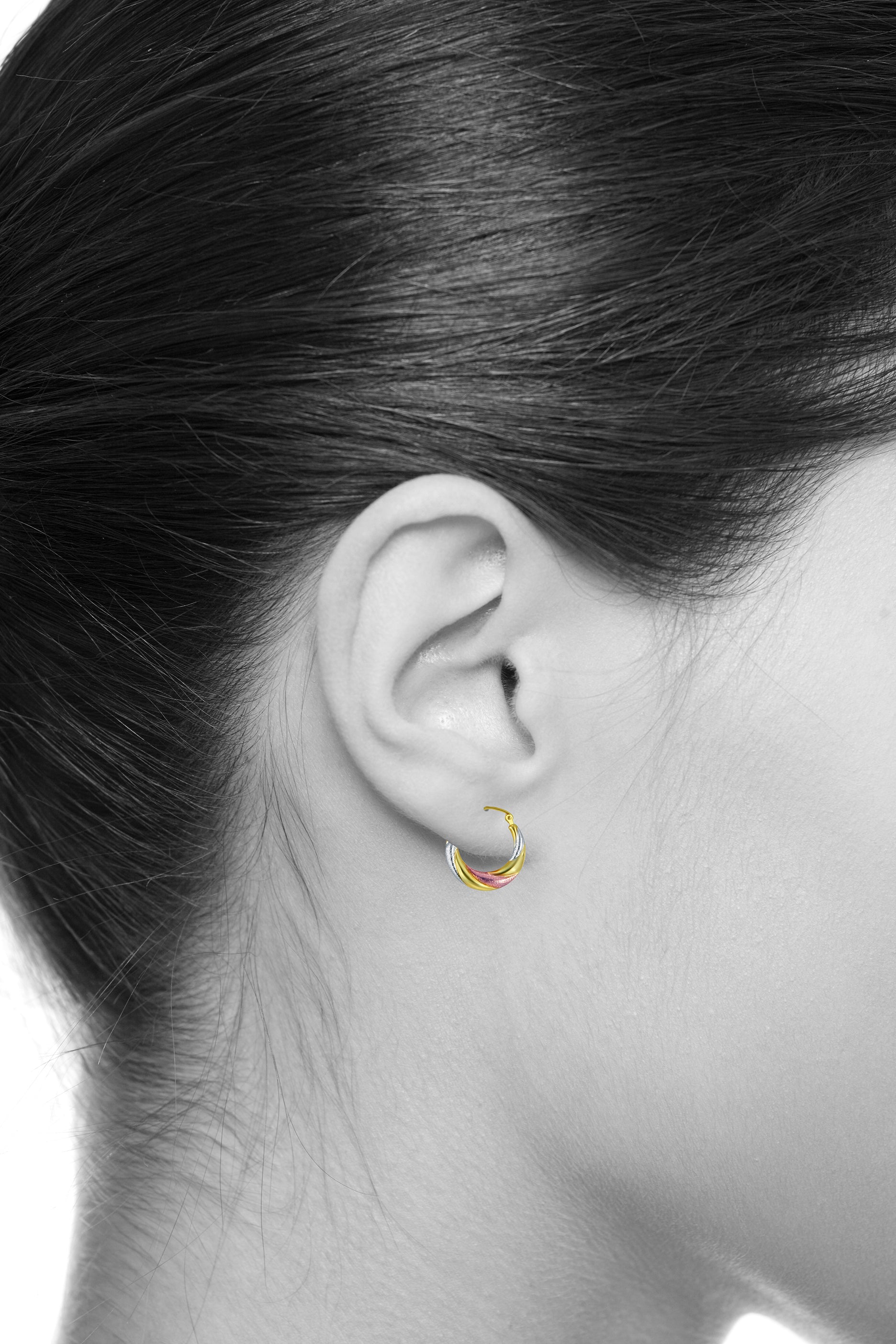 14k Tri 3 Color Gold Polished Diamond Cut Satin Twisted Hoop Earrings (20 x 20mm) K9748