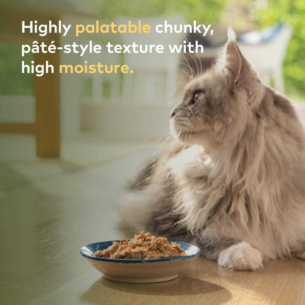 Rabbit & Lamb Recipe Canned Cat Food F38207