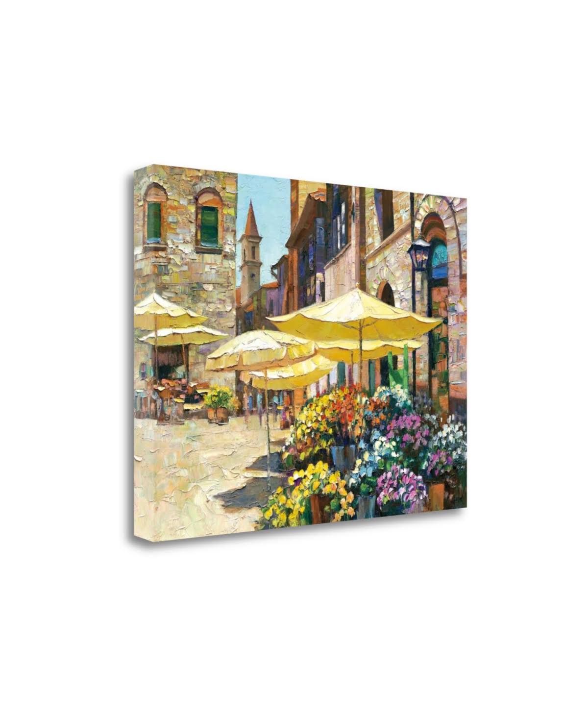 Canvas Art (38 in. W x 28 in. H) P916