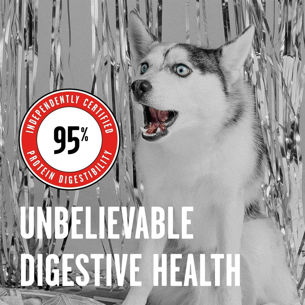 Rawbble Freeze Dried Beef Dog Food N510