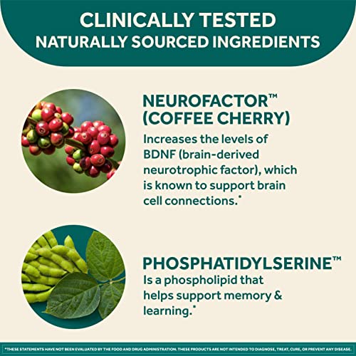 Caffeine Free Brain Supplement Capsules, 30ct L401