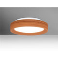 13 Ceiling Flush Mount A6960