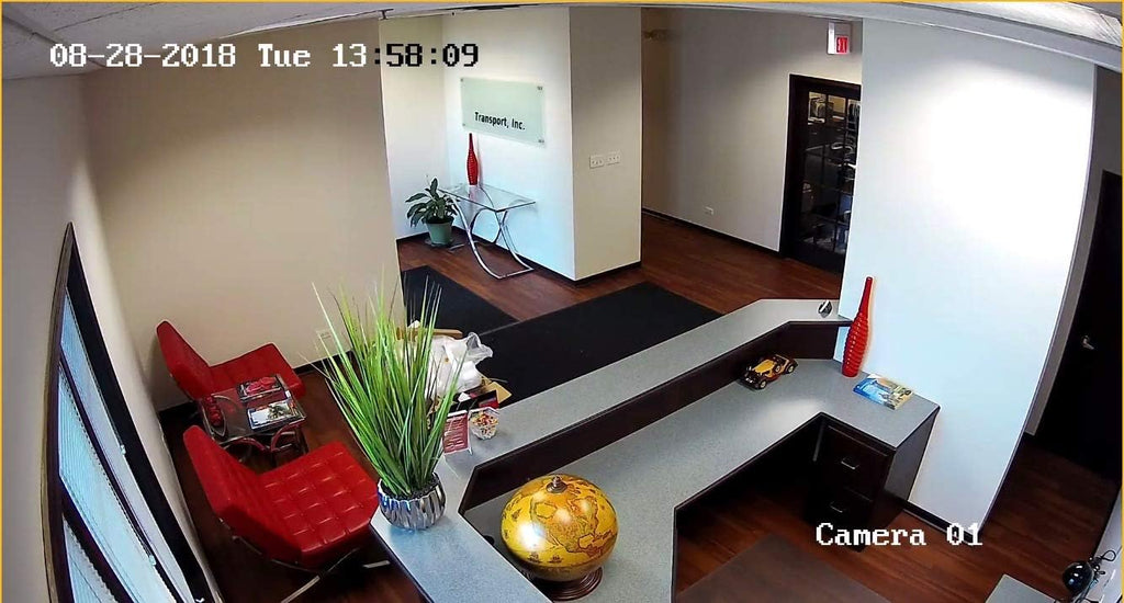4MP PoE Security IP Camera Mini Dome Wide Angle 2.8mm Lens EXIR Audio and Alarm in and Out W486