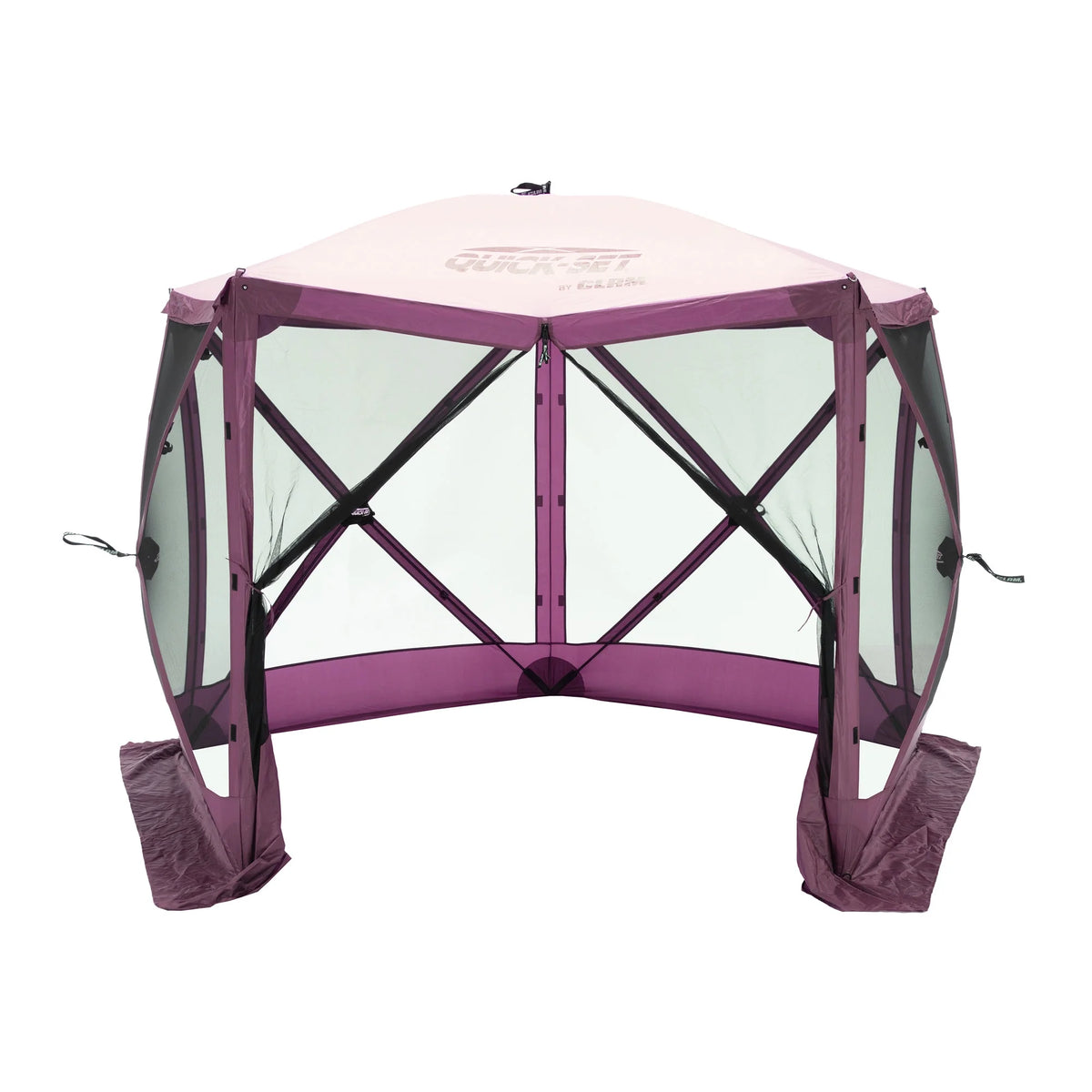 Plum 9x9 Ft Portable Camping Canopy Shelter Y3463