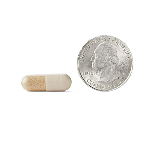 Caffeine Free Brain Supplement Capsules, 30ct L401