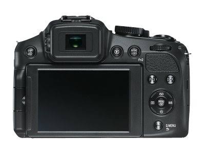 12.1 MP Compact Digital Camera D441
