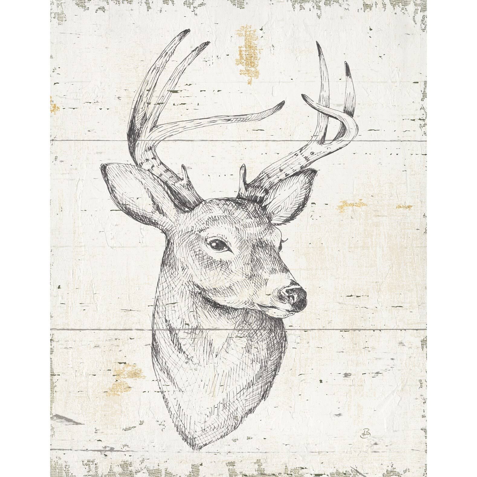 Framed Canvas Wildlife Animal, 16 inch x 32 inch, Gray N52500