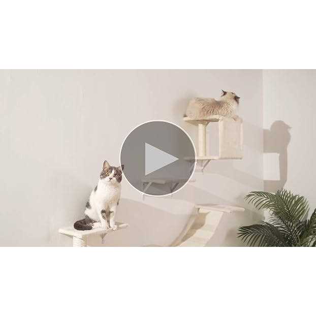 5pcs Wooden Cat Wall Shelves with Bridge, Steps, and Scratcher Q951837