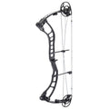 Black 70 lb Bow A444613