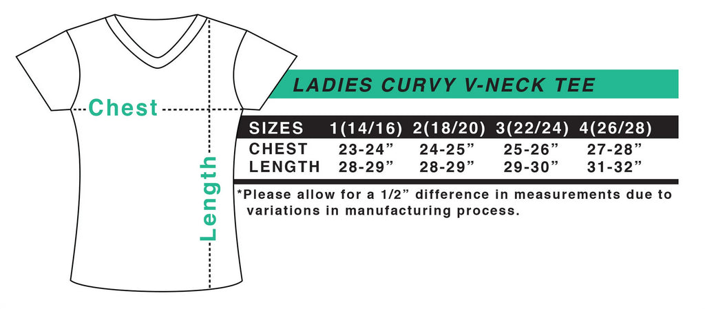 Women's Plus Size V-Neck T-Shirt H494