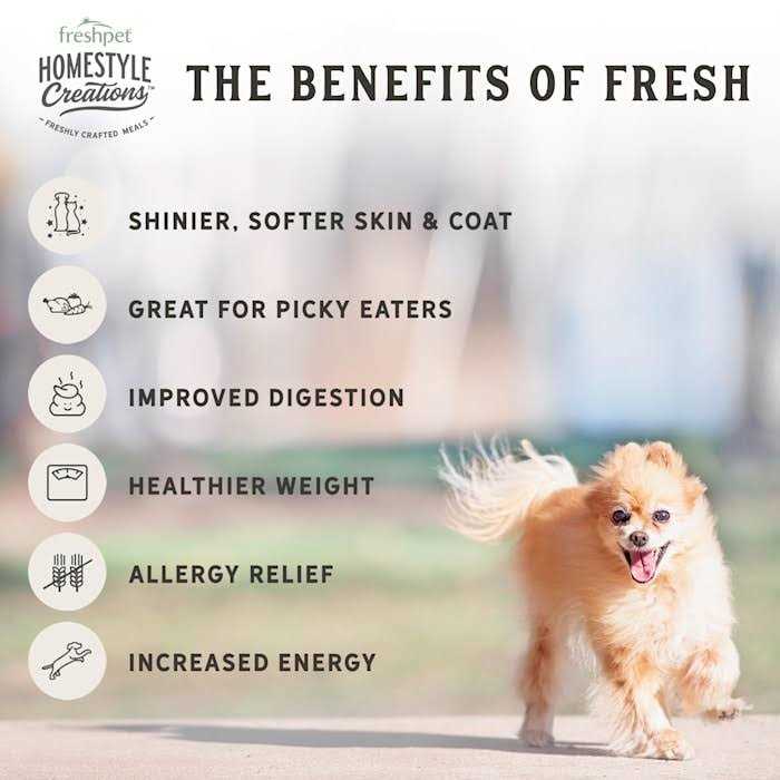 Chicken Patties Adult Wet Dog Food A766210