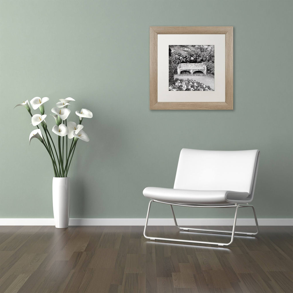 Contemporary Matted Frame Art Y9964