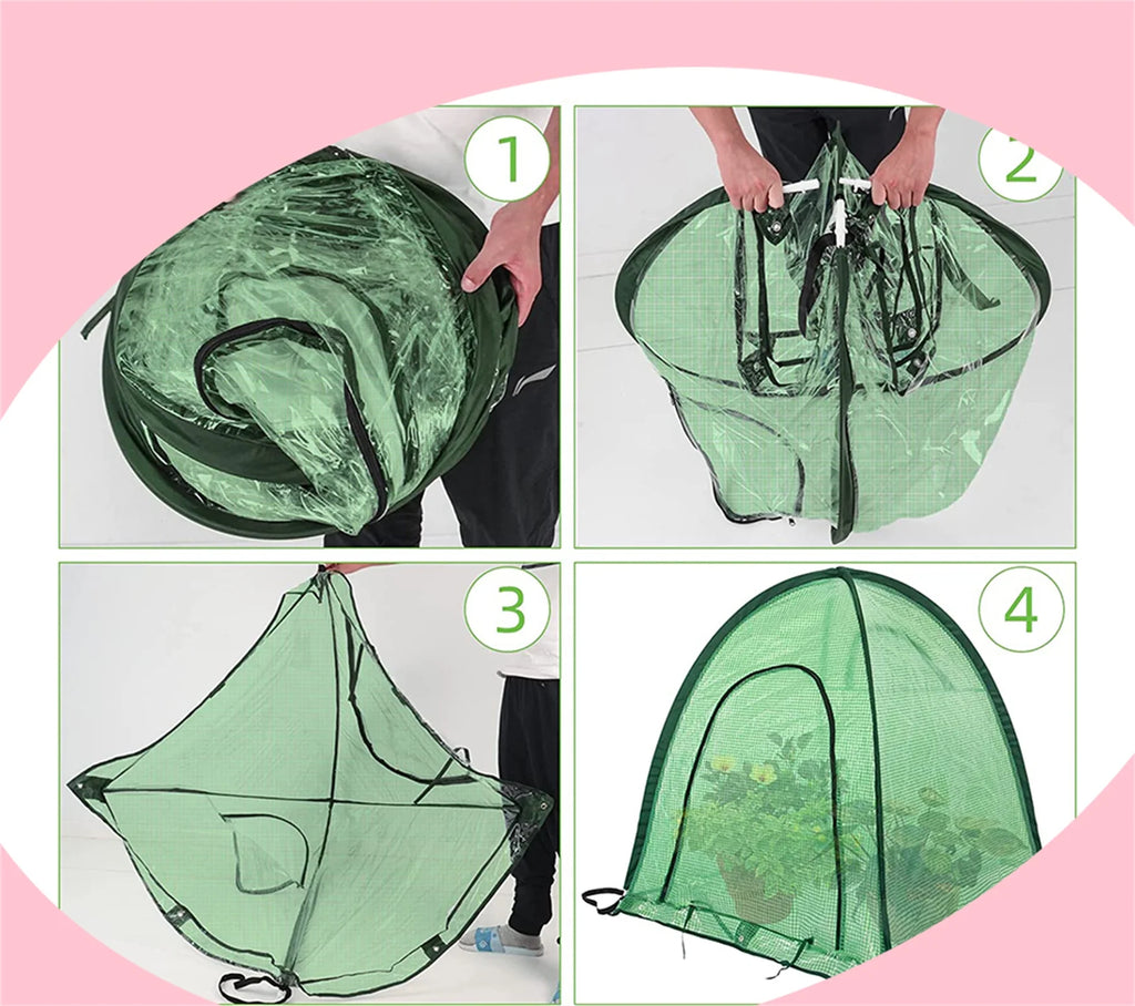 Pop-Up Plant Greenhouse Z201