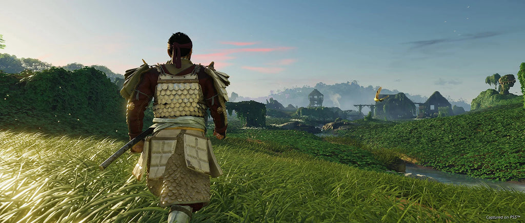 PlayStation 4 Director's Cut D2150