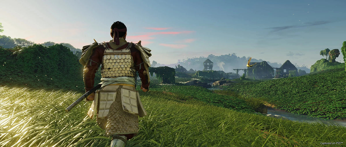 PlayStation 4 Director's Cut D2150