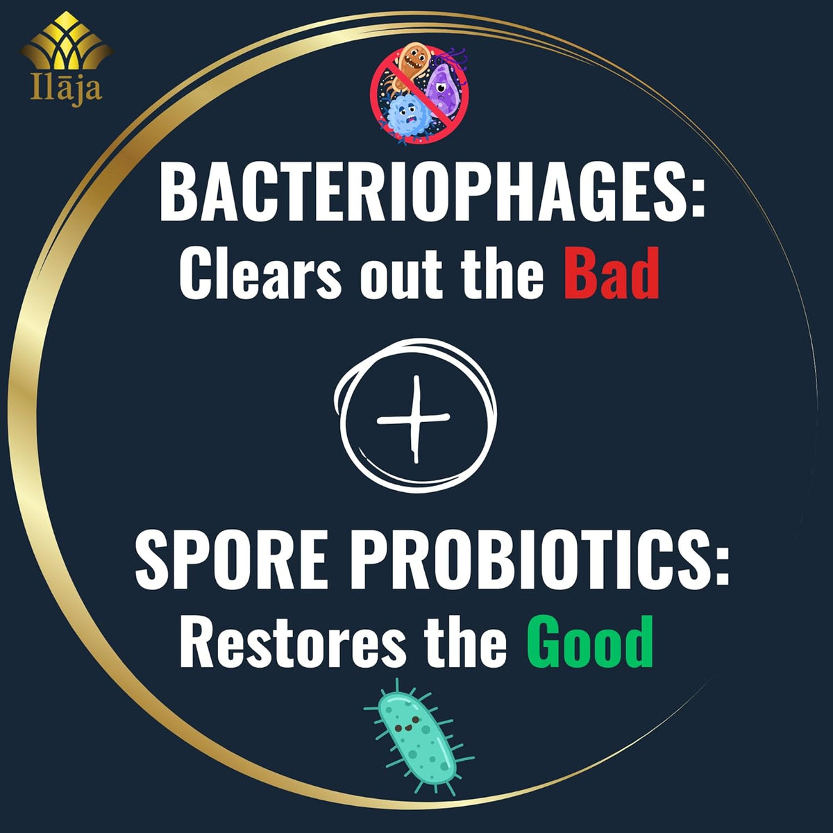 Spore Based Probiotic 120 Capsule P783230