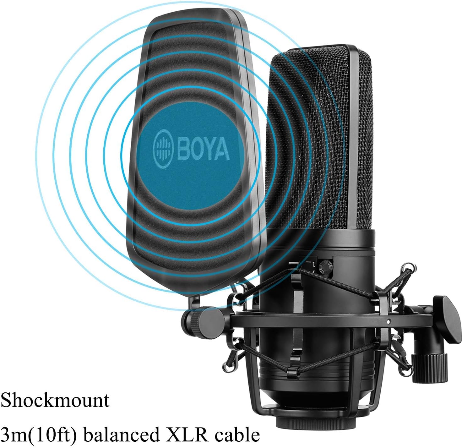 Large Diaphragm Multi-Pattern Studio Condenser Microphone with Shock Mount, Pop Filter, and XLR Cable Pack of 2 G319369