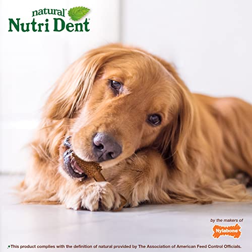 Natural Dog Dental Chews, Large (20 Count) H463249