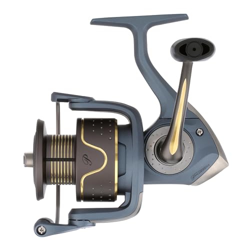 President Spinning Fishing Reel R580