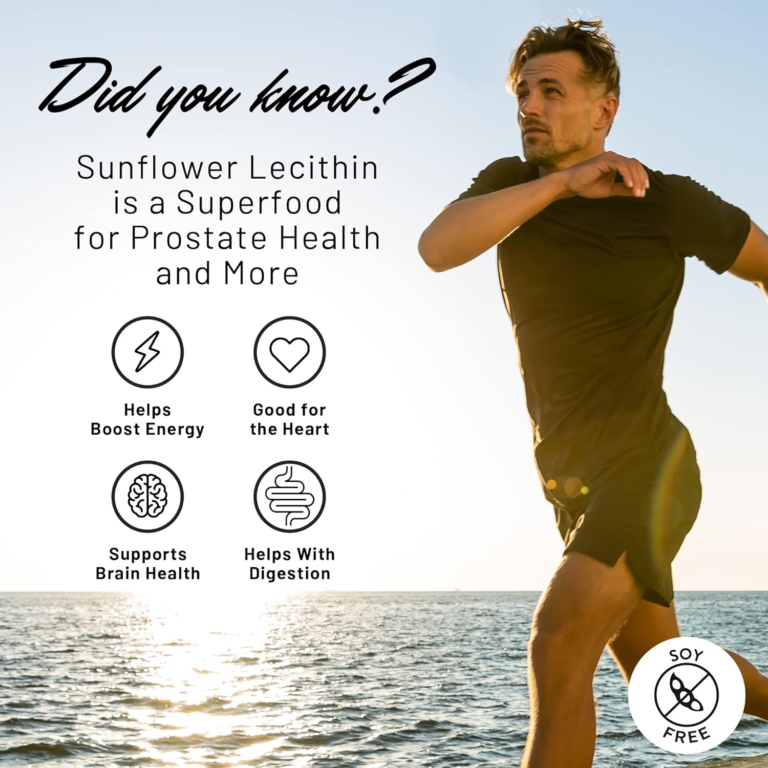 Sunflower Lecithin Breastfeeding Supplement F572920