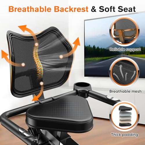 Recumbent Exercise Bike with Arm Exerciser D14865