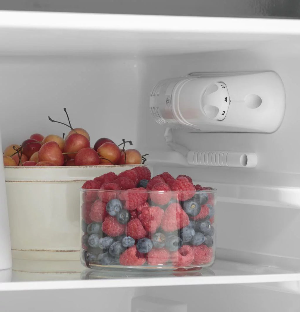 9.8 Cu. Ft. 12 Volt DC Top-Freezer Refrigerator N8908