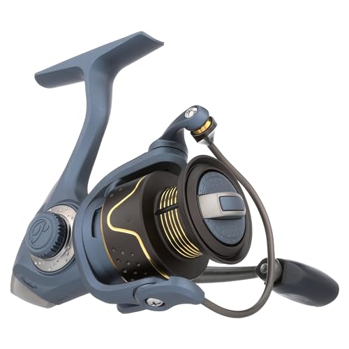 President Spinning Fishing Reel R580