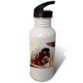 21 oz Sports Water Bottle H16192