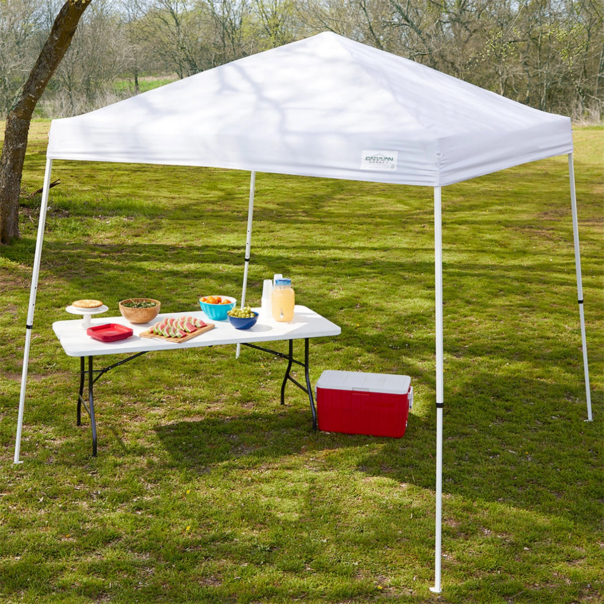 10x10' Instant Canopy Kit with 2 Slant Leg Sidewall C416972