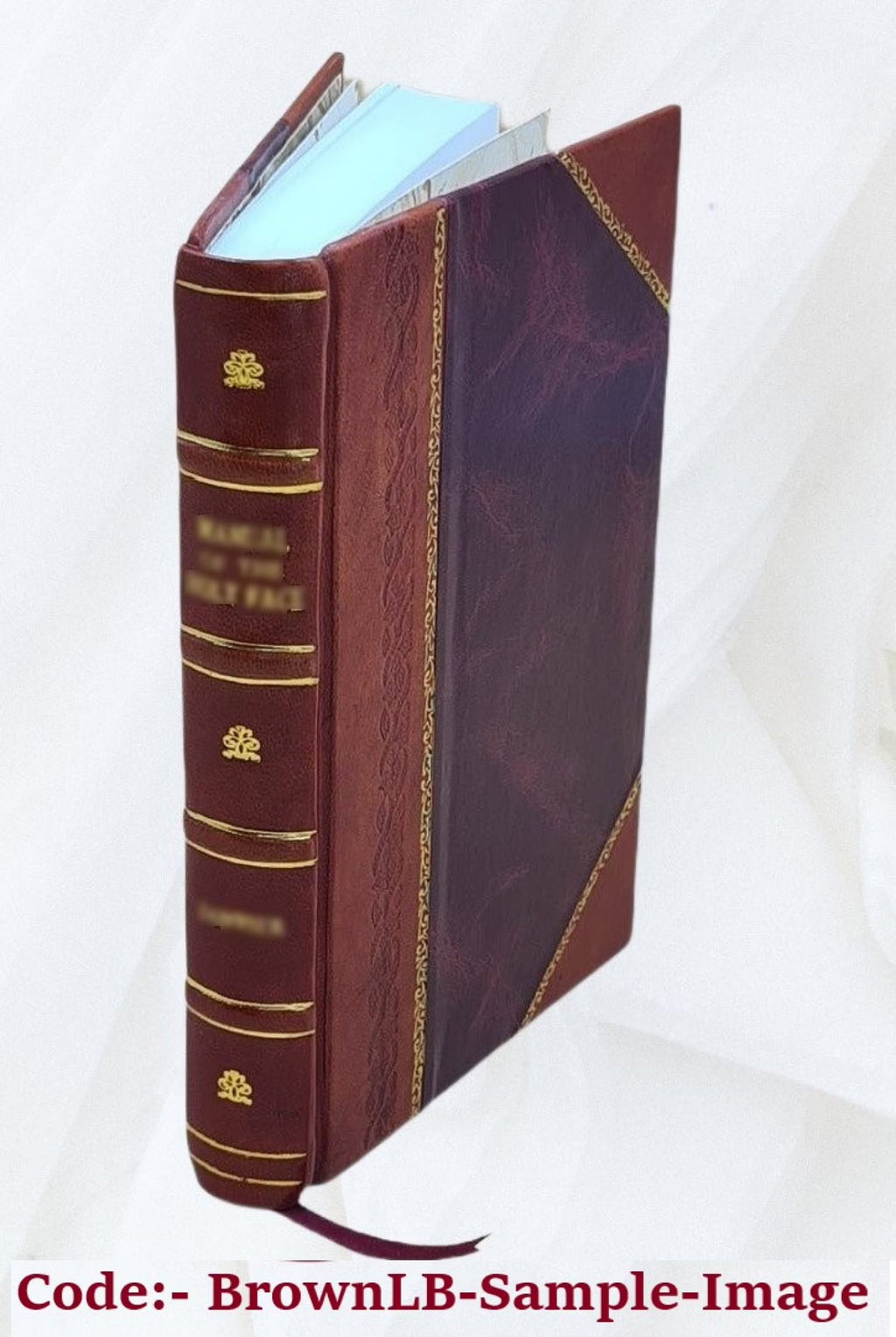 Leather Bound Book Y62096