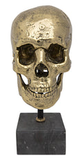 Brass Skull on Stand L400