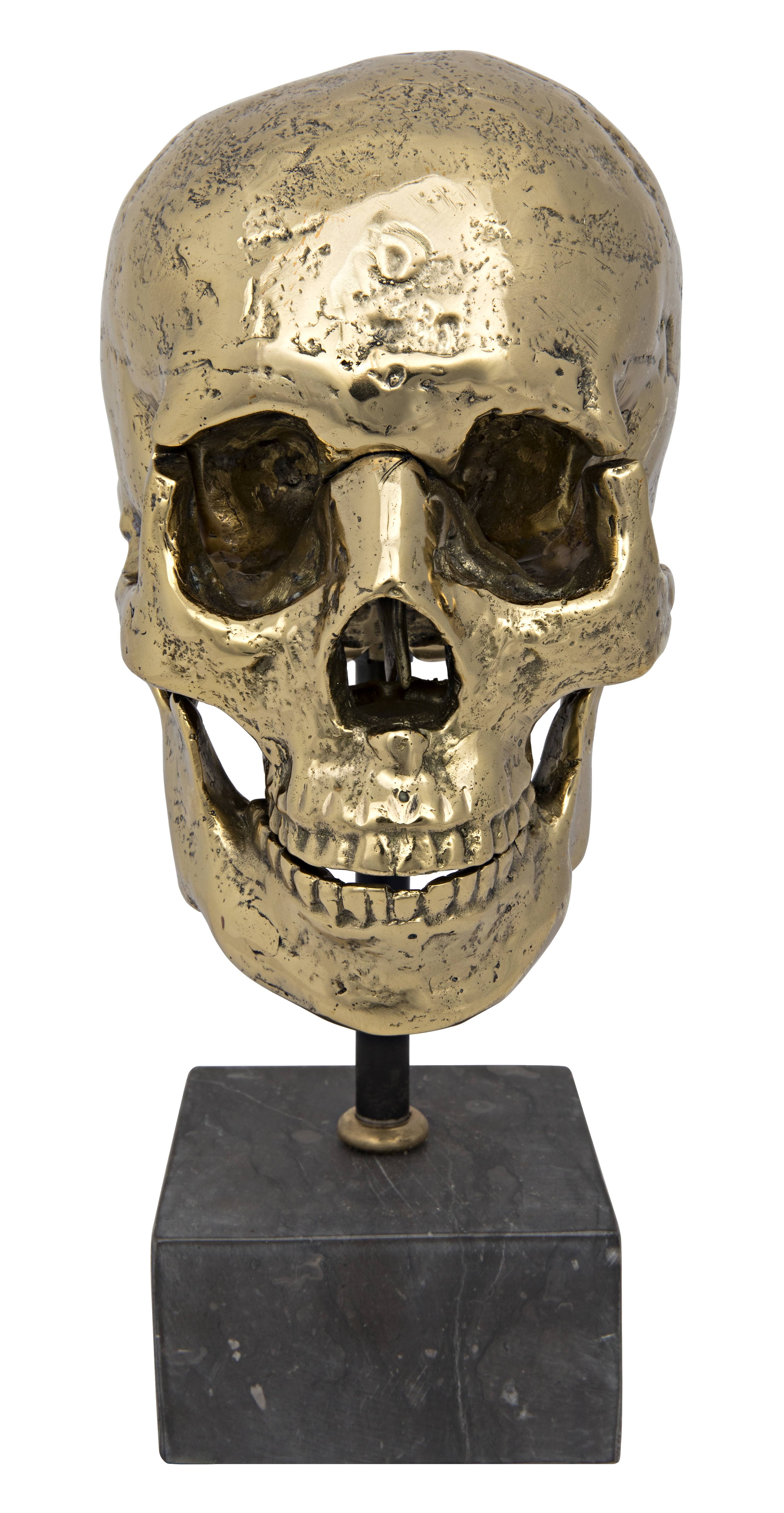 Brass Skull on Stand L400
