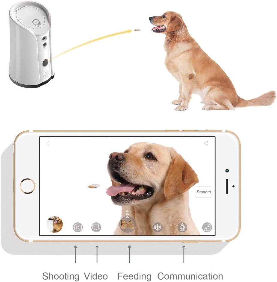 Dog Camera Treat Dispenser with Two-Way Audio and Night Vision Y332