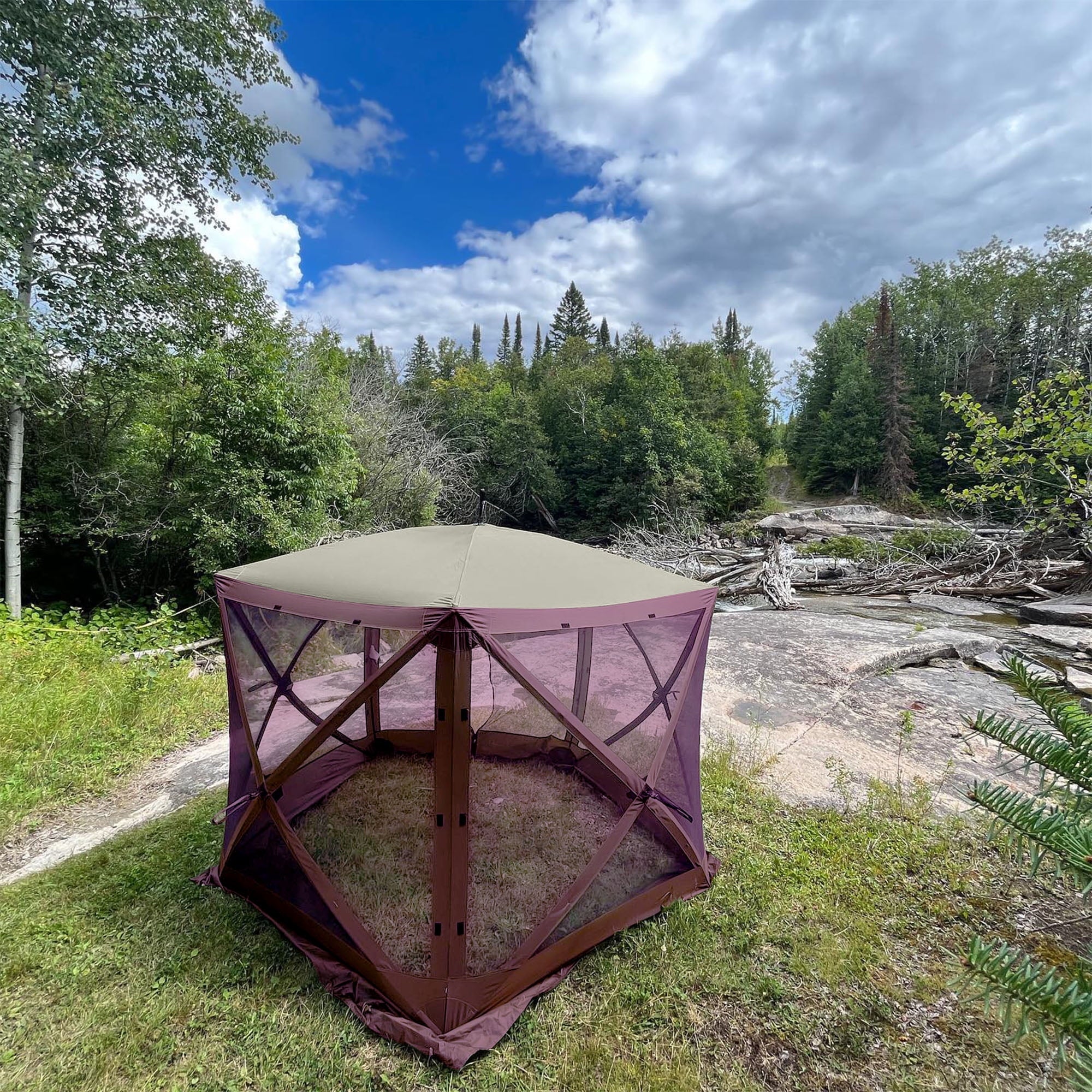 Plum 9x9 Ft Portable Camping Canopy Shelter Y3463