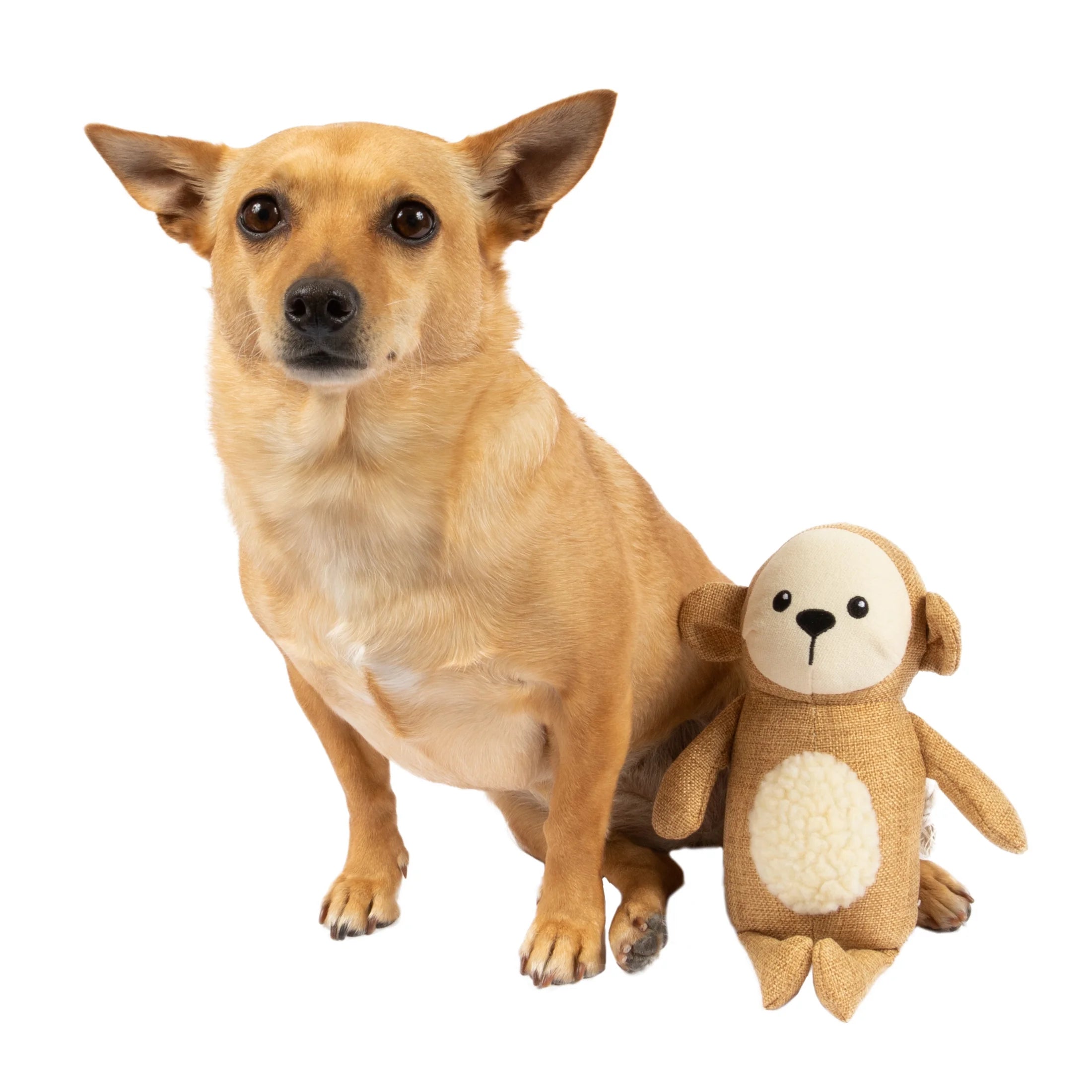Tan Monkey Plush Dog Toy E444591